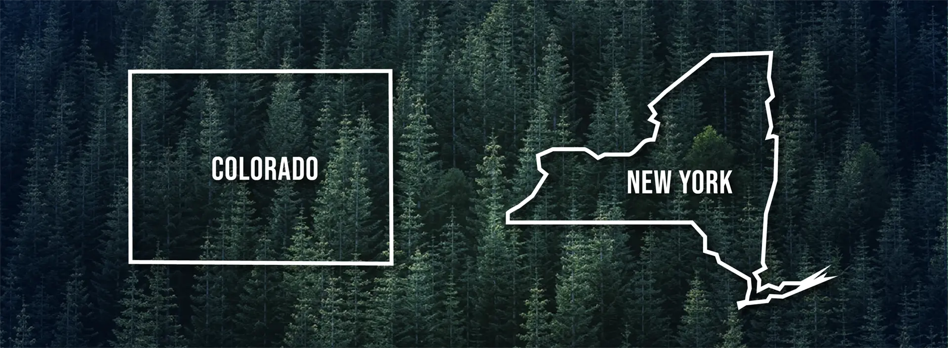 New York and Colorado Introduce GHG Emissions Accounting Legislation Similar to California's SB 253