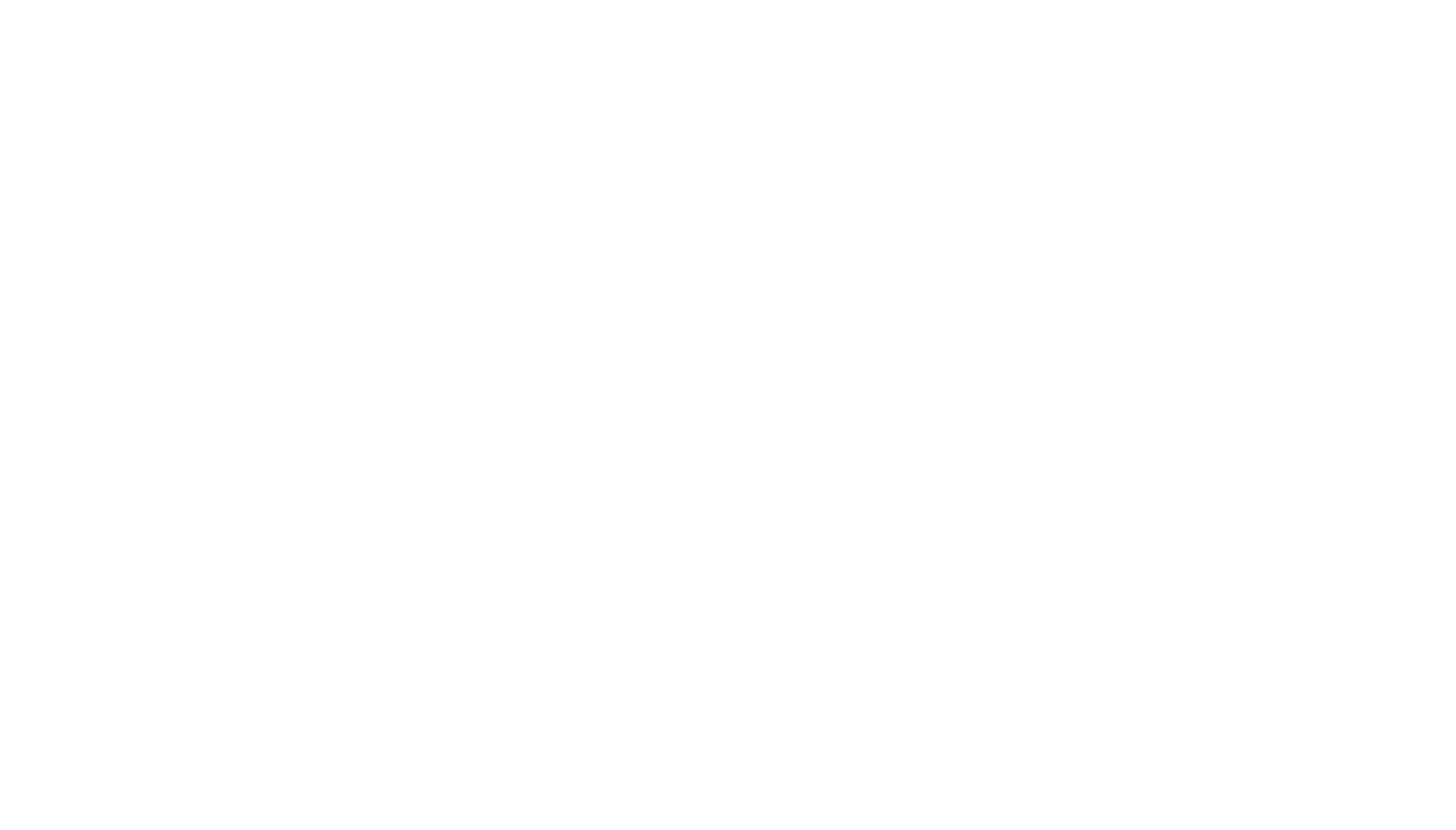 FSI Logo Reversed