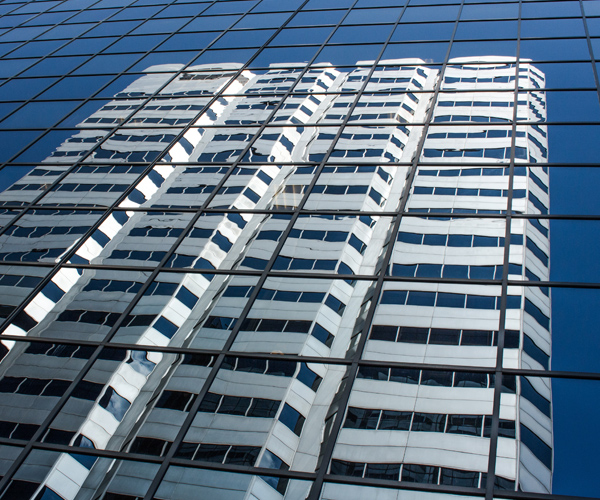 Projects 2025 Human Capital 1