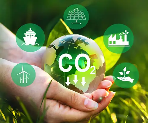 Blog Projects 2025 Sustainability 1