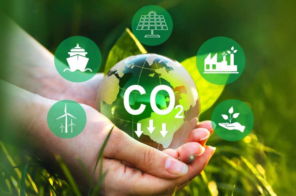 Blog Projects 2025 Sustainability 1 opt