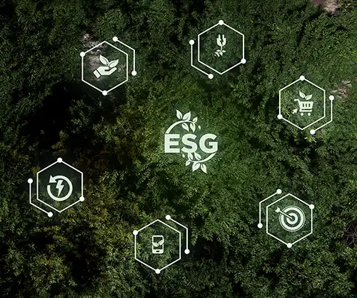 Blog Projects 2025 Sustainability 4