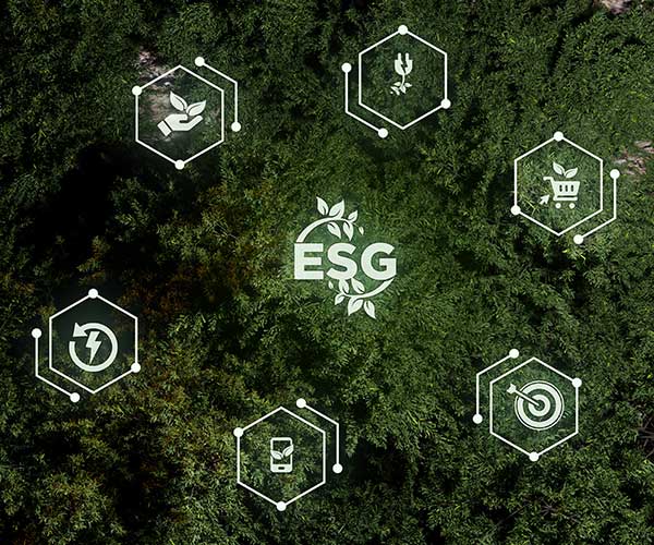 Projects 2025 Sustainability 4