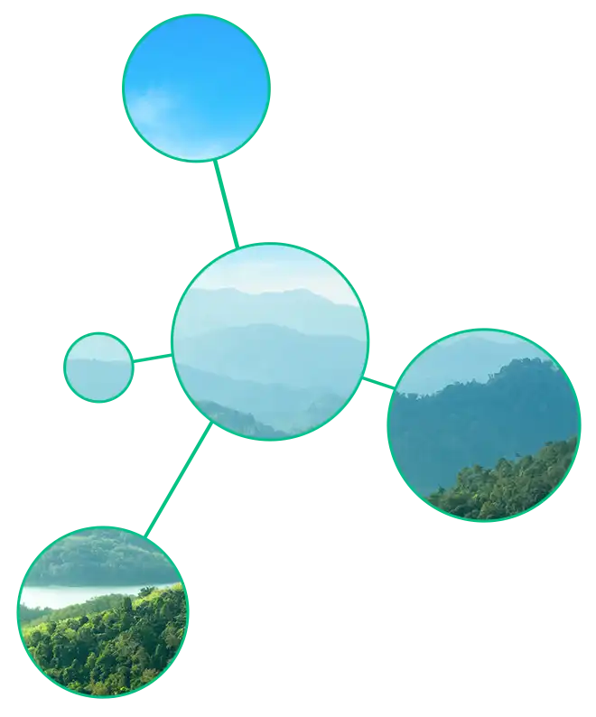 Sustainability Advisory