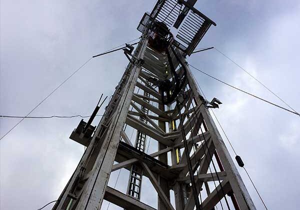 Blog_Projects_2025_Human-Capital_3_square