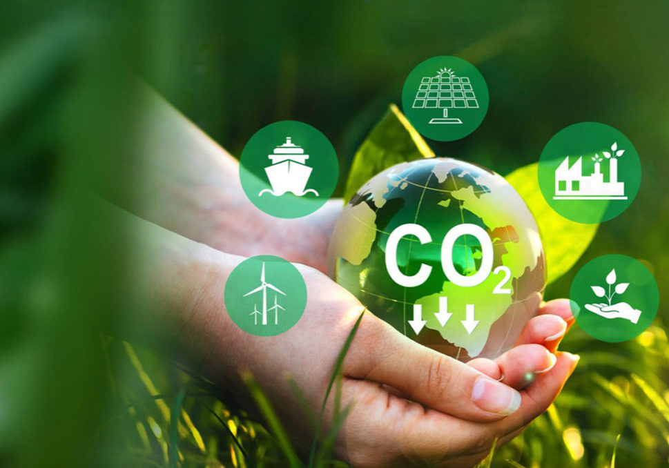 Blog_Projects_2025_Sustainability_1