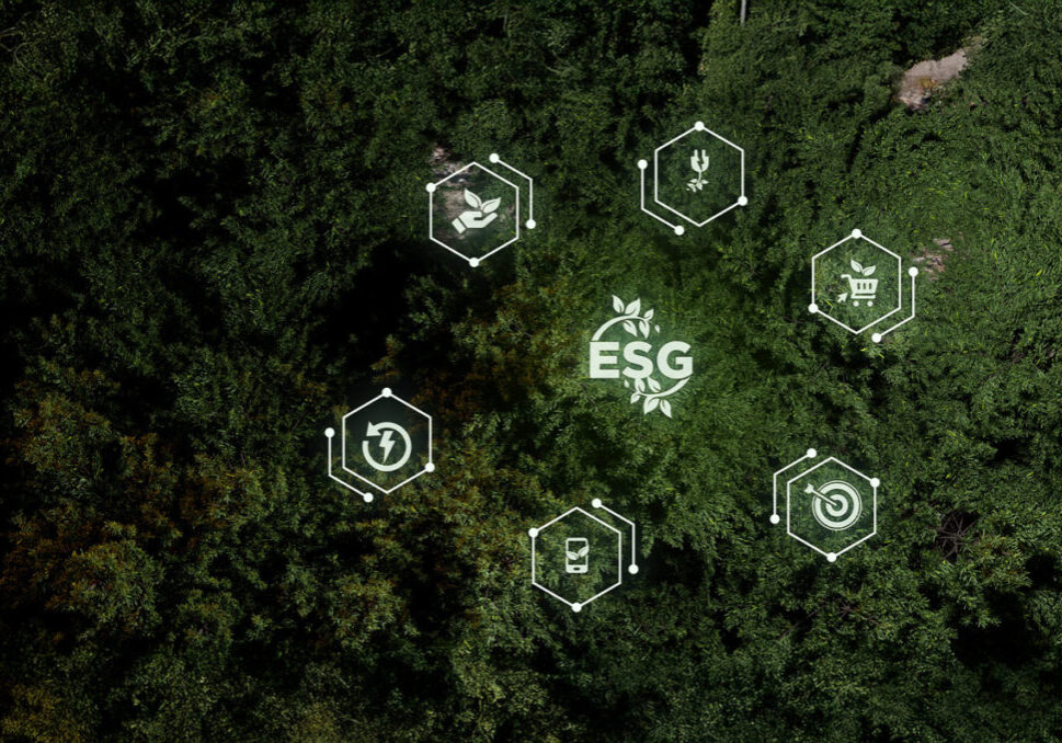 Projects 2025 Sustainability 4