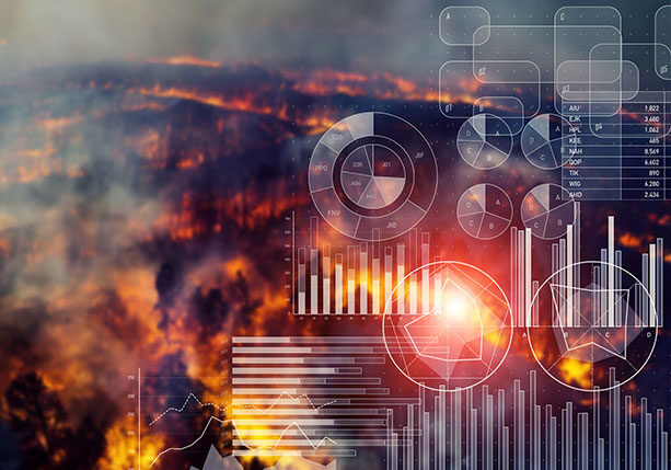 Project Climate-Related Financial Risk Report for Commercial Distribution Company