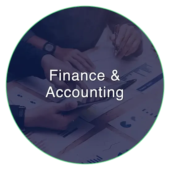 At FSI, we bring expert financial expertise and analytical horsepower to your businesses.