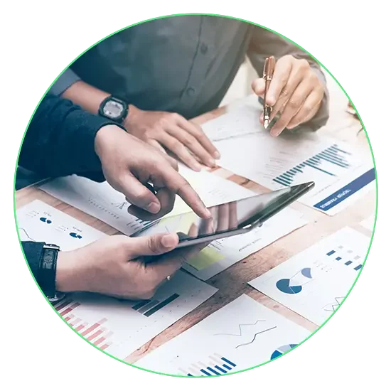 At FSI, we bring expert financial expertise and analytical horsepower to your businesses.