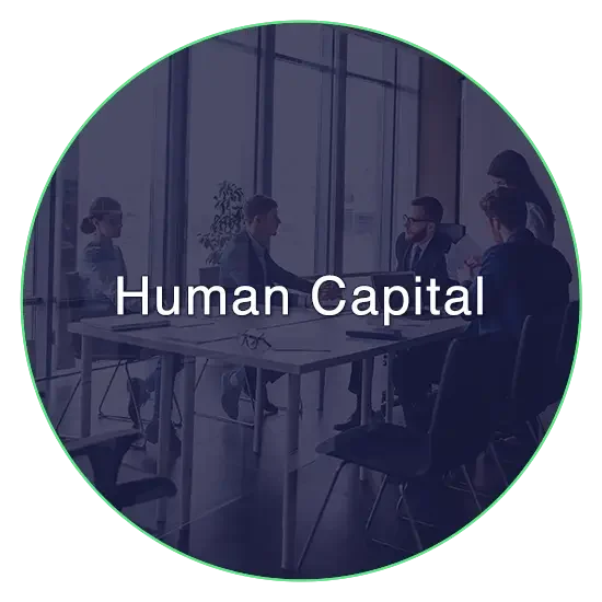 FSI provides Human Capital advisory solutions to align your talent programs with business goals, to enhance productivity, performance, and profitability. 