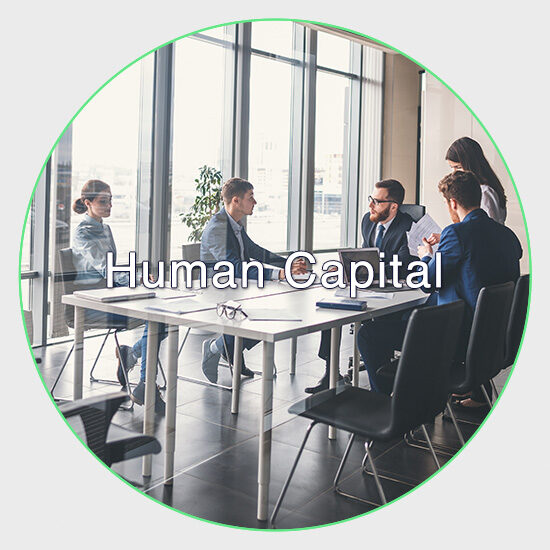 Human Capital