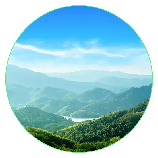 From GHG accounting to materiality and disclosure, we equip organizations to move faster, stay compliant, and lead with purpose.